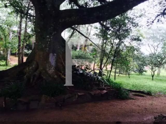 Sítio / Chácara para Venda em Porto Alegre/RS Lami
