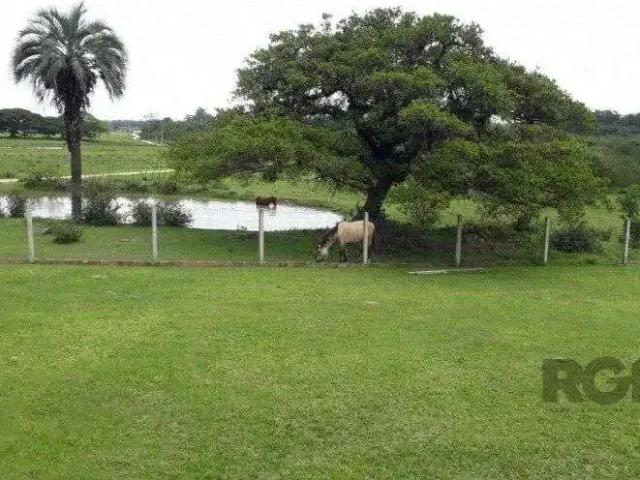 Sítio / Chácara para Venda em Porto Alegre/RS Lami 3 Quartos