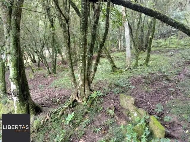 Sítio / Chácara para Venda em Porto Alegre/RS Ponta Grossa 2 Quartos