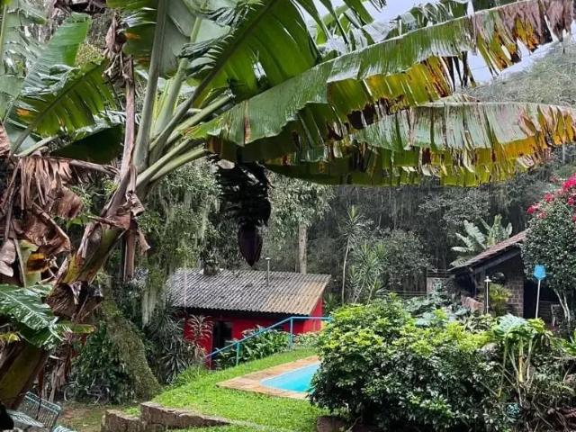 Sítio / Chácara para Venda em Porto Alegre/RS Ponta Grossa 3 Quartos