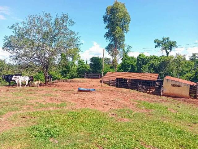 Sítio / Chácara para Venda em Porto Feliz/SP Zona Rural 2 Quartos