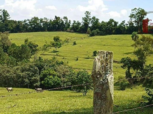 Sítio / Chácara para Venda em Porto Feliz/SP Área Rural de Porto Feliz 3 Quartos