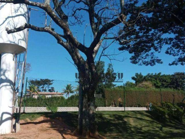 Sítio / Chácara para Venda em Porto Feliz/SP Zona Rural 4 Quartos
