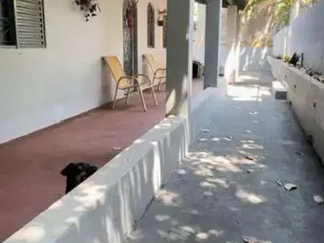 Sítio / Chácara para Venda em Porto Ferreira/SP Jardim Santa Maria 3 Quartos