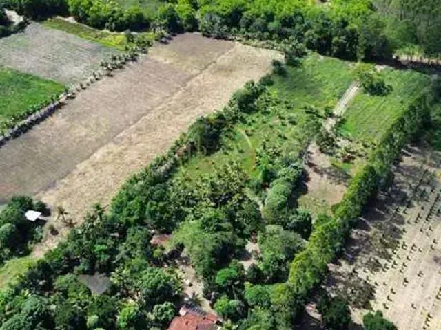 Sítio / Chácara para Venda em Porto Seguro/BA Zona Rural 4 Quartos