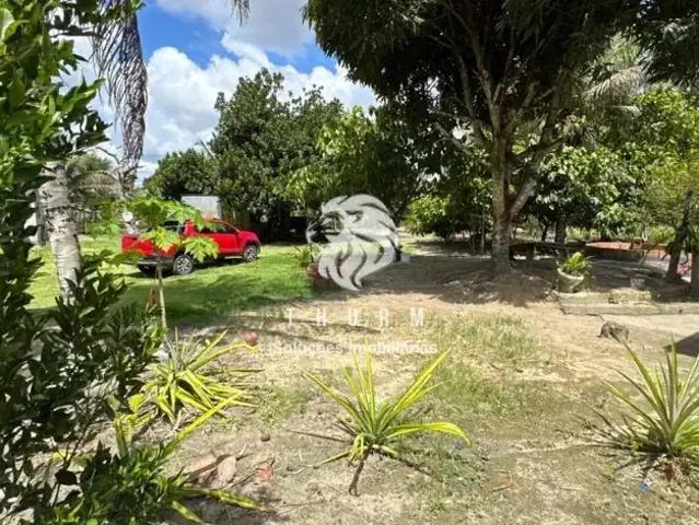 Sítio / Chácara para Venda em Porto Seguro/BA Zona Rural