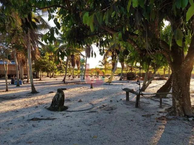 Sítio / Chácara para Venda em Porto Seguro/BA Zona Rural