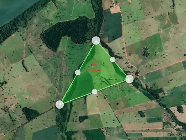 Sítio / Chácara para Venda em Porto Rico/PR Zona Rural