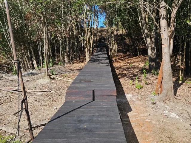 Sítio / Chácara para Venda em Porto Velho/RO Vila Eletronorte