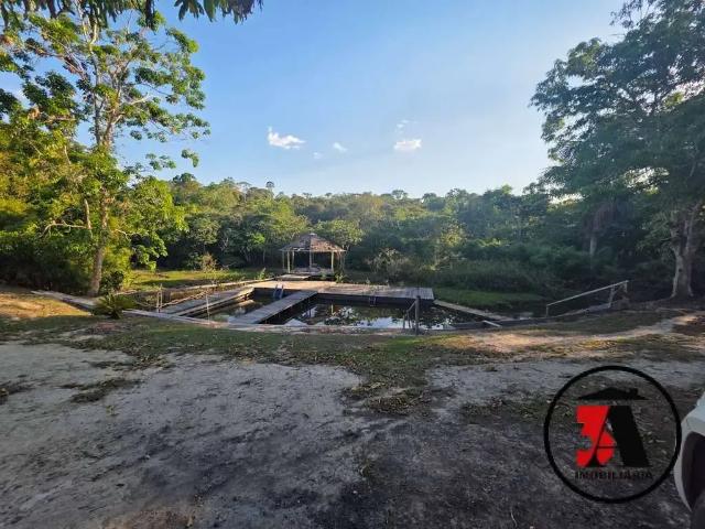 Sítio / Chácara para Venda em Porto Velho/RO Área Rural de Porto Velho