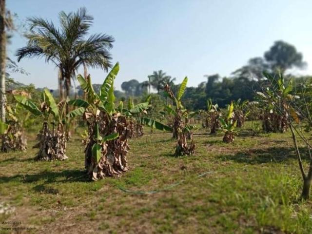 Sítio / Chácara para Venda em Porto Velho/RO Areia Branca