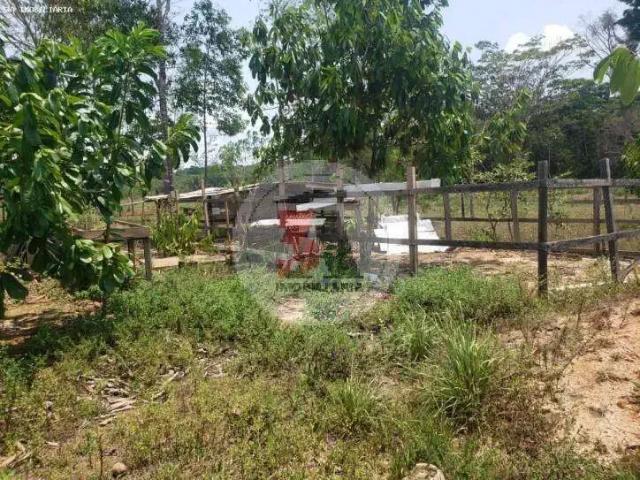 Sítio / Chácara para Venda em Porto Velho/RO Bairro Novo 2 Quartos
