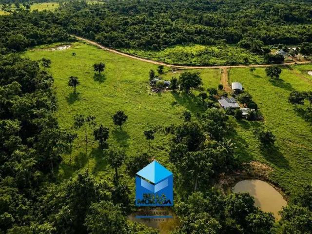 Sítio / Chácara para Venda em Porto Velho/RO Militar