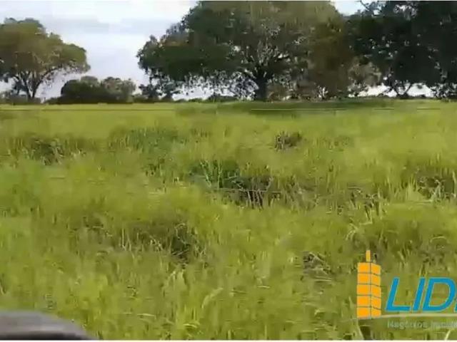 Sítio / Chácara para Venda em Posse/GO Zona Rural