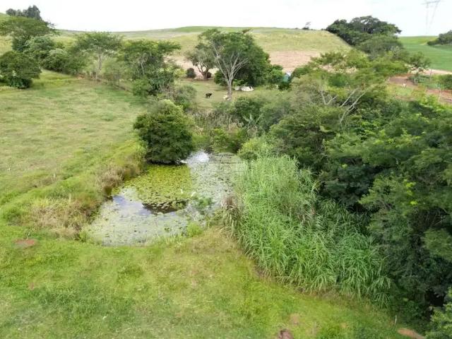 Sítio / Chácara para Venda em Pato Branco/PR Zona Rural 2 Quartos