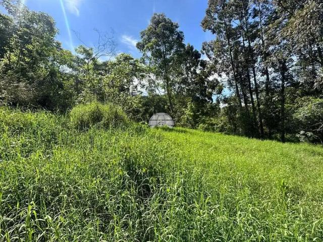 Sítio / Chácara para Venda em Pato Branco/PR Zona Rural