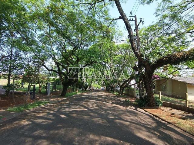 Sítio / Chácara para Venda em Pato Branco/PR Zona Rural