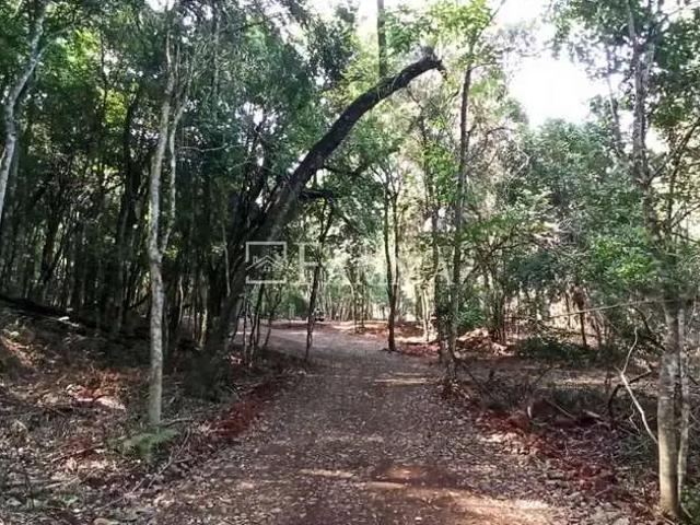 Sítio / Chácara para Venda em Pato Branco/PR Zona Rural