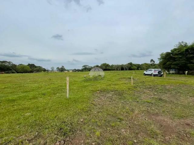 Sítio / Chácara para Venda em Pato Branco/PR Zona Rural