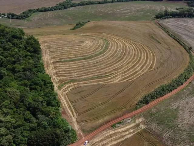 Sítio / Chácara para Venda em Pato Branco/PR Zona Rural