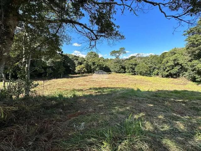 Sítio / Chácara para Venda em Pato Branco/PR Zona Rural