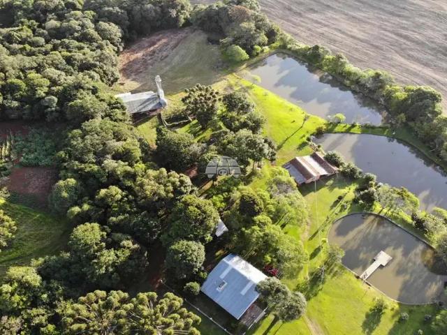 Sítio / Chácara para Venda em Pato Branco/PR Zona Rural