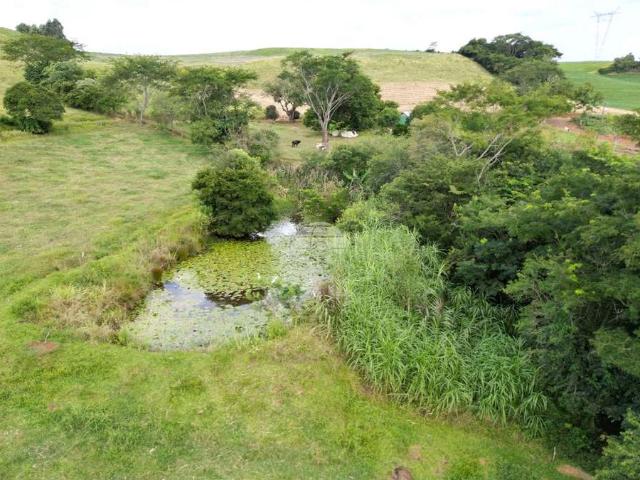 Sítio / Chácara para Venda em Pato Branco/PR Área Rural de Pato Branco 2 Quartos