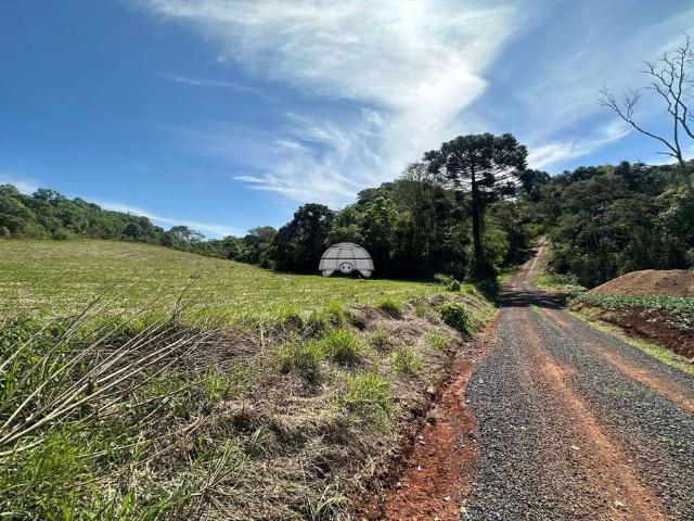 Sítio / Chácara para Venda em Pato Branco/PR Área Rural de Pato Branco