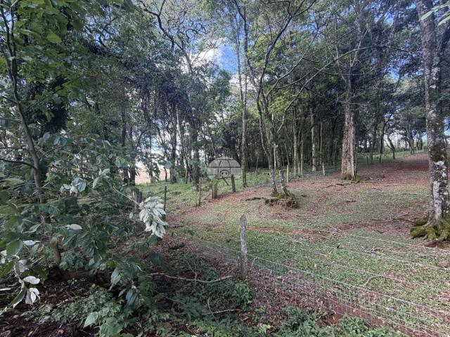 Sítio / Chácara para Venda em Pato Branco/PR Parque do Som