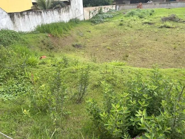 Sítio / Chácara para Venda em Patos de Minas/MG Área Rural de Patos de Minas