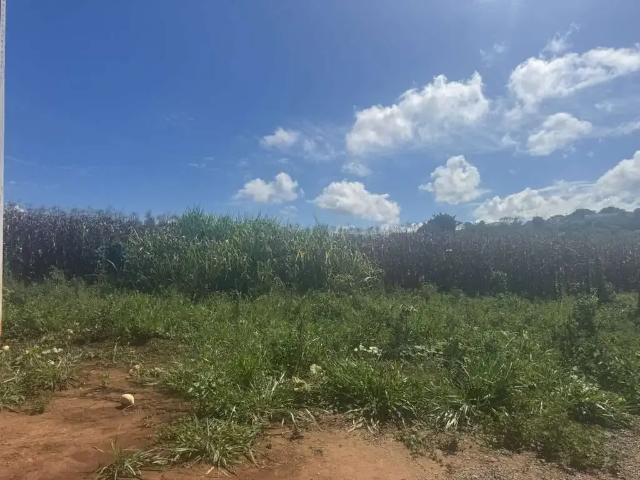 Sítio / Chácara para Venda em Patos de Minas/MG Área Rural de Patos de Minas 2 Quartos