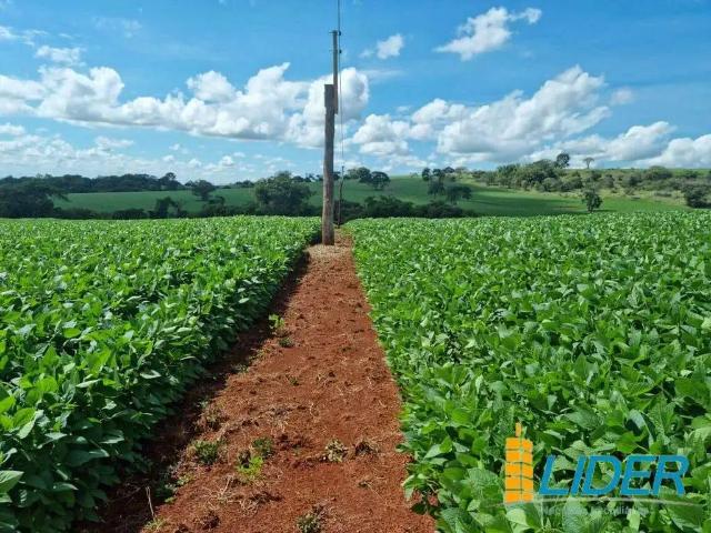 Sítio / Chácara para Venda em Patos de Minas/MG Área Rural de Patos de Minas