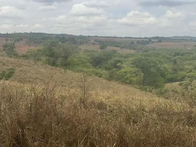 Sítio / Chácara para Venda em Patos de Minas/MG Área Rural de Patos de Minas