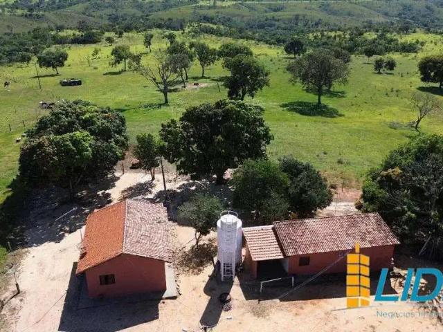 Sítio / Chácara para Venda em Patos de Minas/MG Área Rural de Patos de Minas