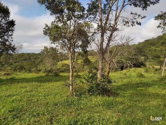 Sítio / Chácara para Venda em Patos de Minas/MG Centro