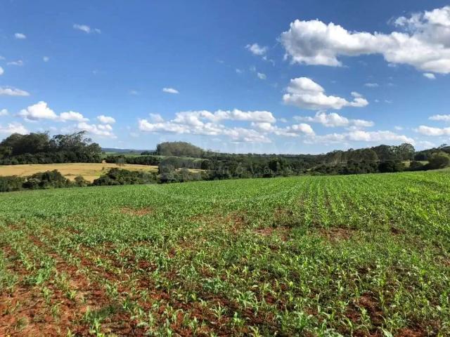 Sítio / Chácara para Venda em Patrocínio Paulista/SP Zona Rural