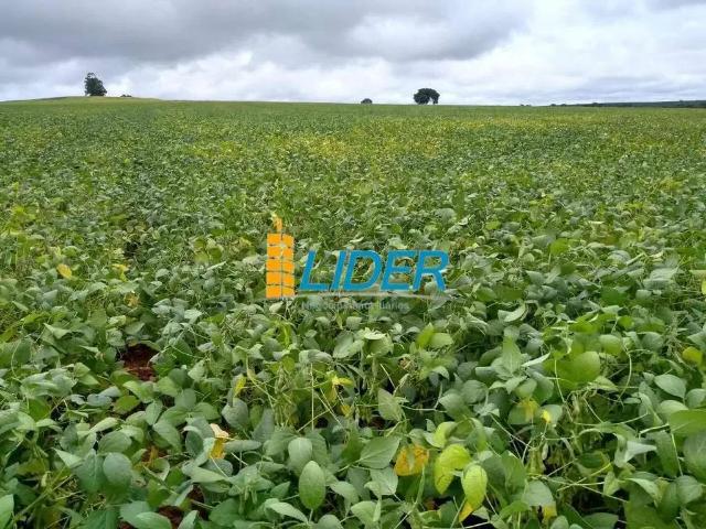 Sítio / Chácara para Venda em Patrocínio/MG Área Rural de Patrocínio