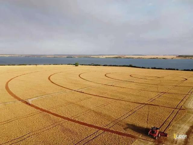 Sítio / Chácara para Venda em Patrocínio/MG Área Rural de Patrocínio