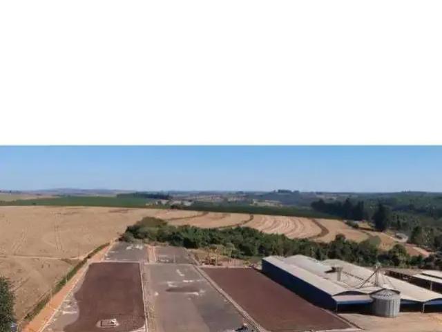 Sítio / Chácara para Venda em Patrocínio/MG Área Rural de Patrocínio