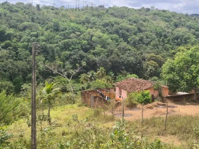Sítio / Chácara para Venda em Paudalho/PE Centro 3 Quartos