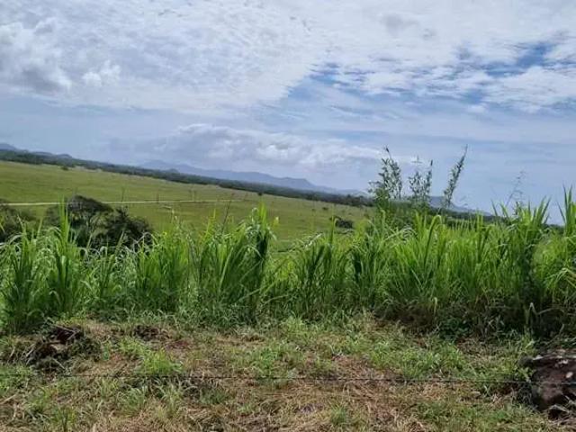 Sítio / Chácara para Venda em Paulo Lopes/SC Riberão 1 Quartos