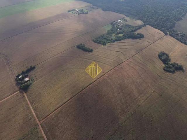 Sítio / Chácara para Venda em Palotina/PR Zona Rural