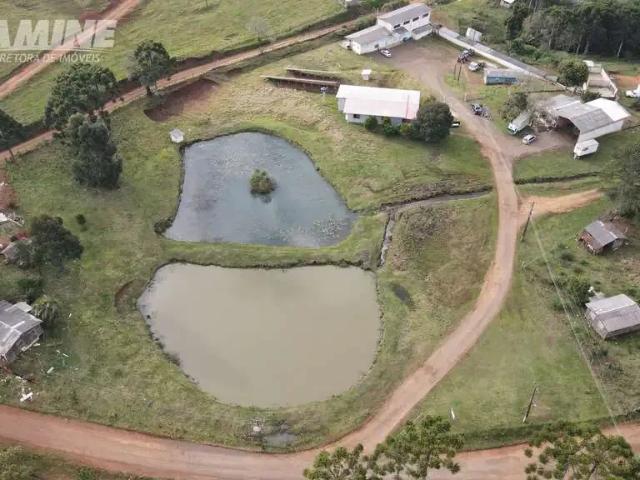 Sítio / Chácara para Venda em Palmas/PR Lagoão