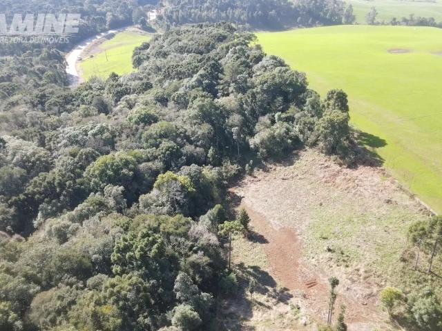 Sítio / Chácara para Venda em Palmas/PR Lagoão
