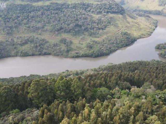 Sítio / Chácara para Venda em Palmas/PR Zona Rural