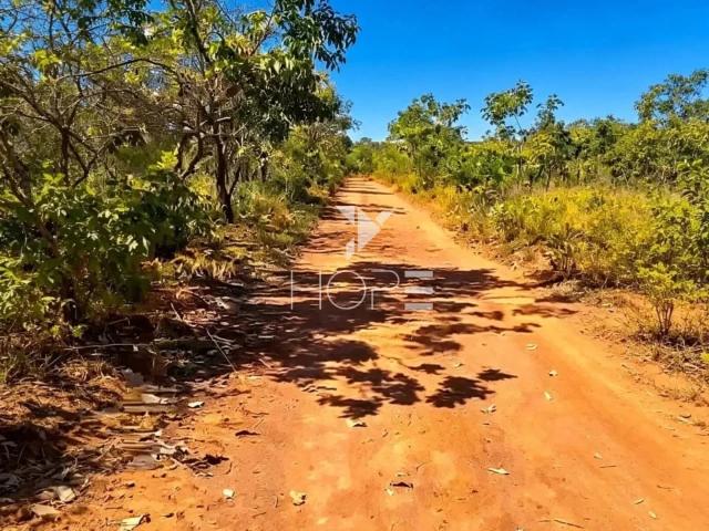 Sítio / Chácara para Venda em Palmas/TO Plano Diretor Sul