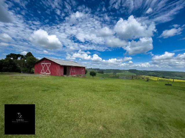 Sítio / Chácara para Venda em Palmeira/PR Zona Rural 3 Quartos