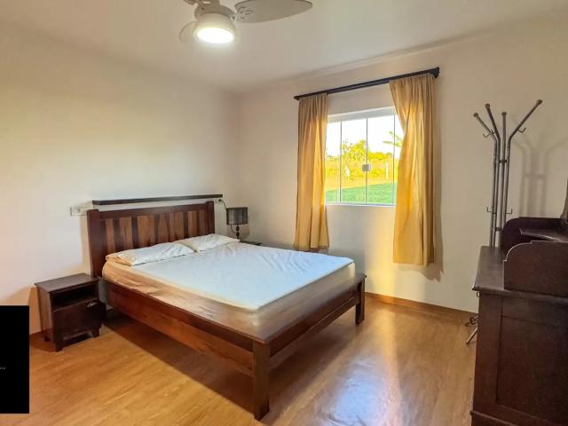 Sítio / Chácara para Venda em Palmeira/PR Zona Rural 3 Quartos