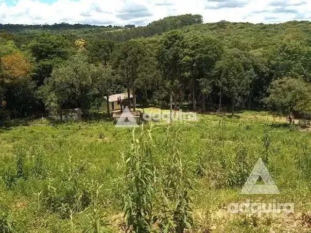 Sítio / Chácara para Venda em Palmeira/PR Centro