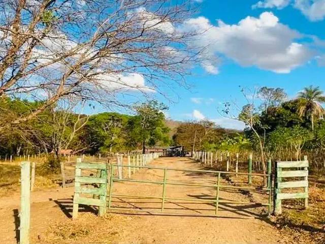 Sítio / Chácara para Venda em Palmeiras de Goiás/GO Centro 3 Quartos